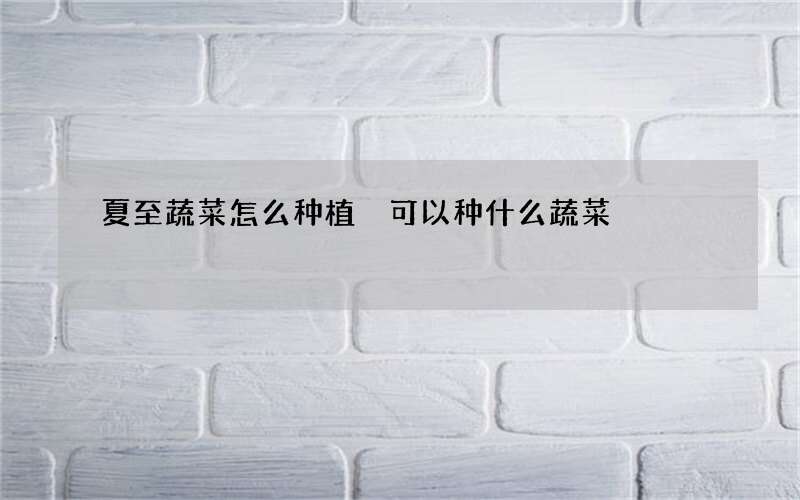 夏至蔬菜怎么种植 可以种什么蔬菜